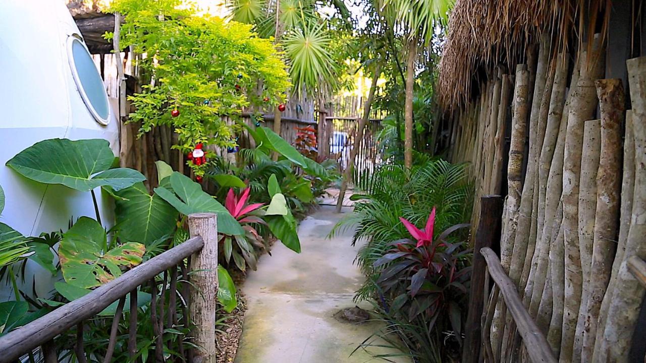 Отель Glamping Tulum With Private Mini Pool Экстерьер фото