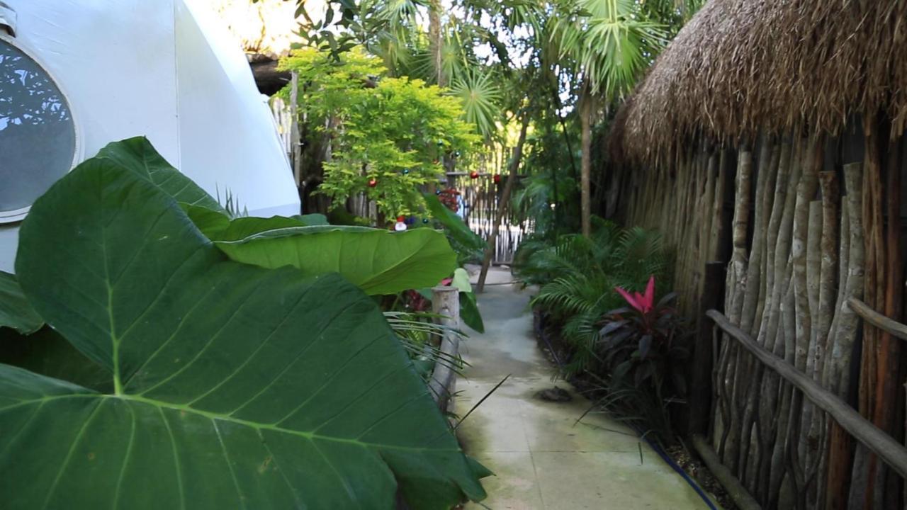 Отель Glamping Tulum With Private Mini Pool Экстерьер фото